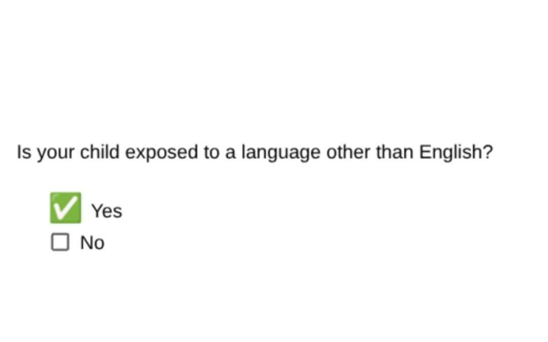 Supporting Bilingual Language Development- Part 4